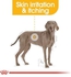 Royal Canin Maxi Adult Dermacomfort Dry Dog Food