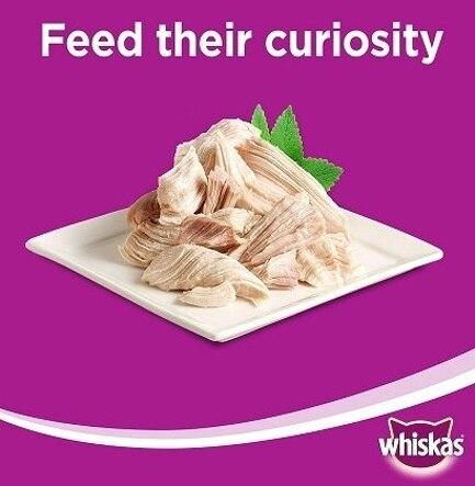 Whiskas Purrfectly Chicken Entree Wet Cat Food 85G