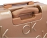 CALVIN KLEIN Insignia Luggage 1 Pcs Lightweight Spinner Suitcase with TSA Lock (Mushroom, 28-Inch)