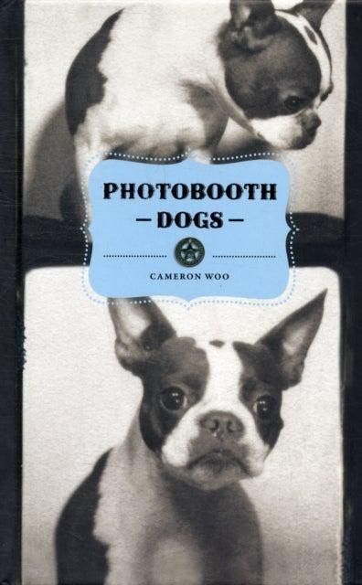 Photobooth Dogs - غلاف مقوى