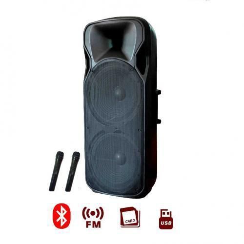 Public Address System With Bluetooth, 2 Microphones And USB