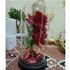 هدية عيد ميلاد جميلة المحفوظة روز زهرة الصمام الخفيفة مع غطاء زجاجي قاعدة هدية عيد الحب الزفاف