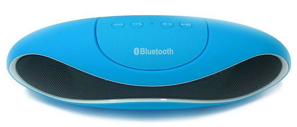 Bluetooth Speaker Wireless Speaker with FM Radio SD Line In AUX & Mic - BLUE