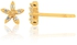 His & Her 0.03 Cts Diamond Star Shape Earrings in 18KT Yellow Gold (GH Color, PK Clarity)