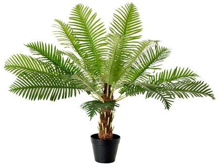 FEJKA Artificial potted plant, Fern palm