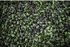 نباتات صناعية أوراق الأوكالبتوس / الزهور عشب جدار للمنزل فيلا حديقة الجدار ديكور العشب الاصطناعي