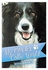 My Border Collie World Paperback English by Ruth Simerly