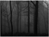 Forest Themed Wall Sticker Grey/Black 140x105cm