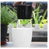 Self Watering Flower Pot White/Black 2x1.9x0.9centimeter