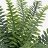 FEJKA نبات صناعي في آنية - داخلي/خارجي نبات السرخس 15 سم