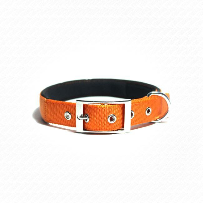 Doco, Belt Signature Collar, Large, Orange