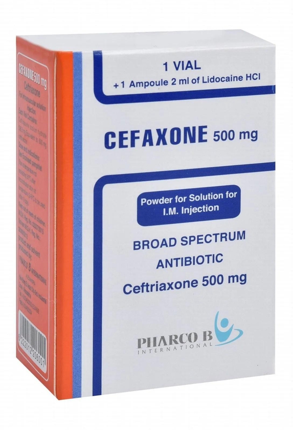 Cefaxone | IM Antibiotic 500mg | 1 Vial