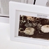 White Photo Frame Picture Frames Desktop Display Simple Basic Style 4x6 & 5x7 inch Plant Fruit Picture Painting Frame