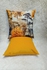 Throw Pillow And Pillow Covers    
