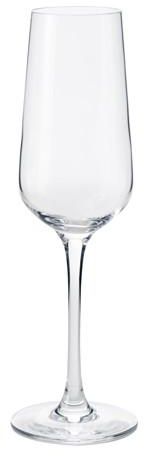 IVRIG Champagne glass