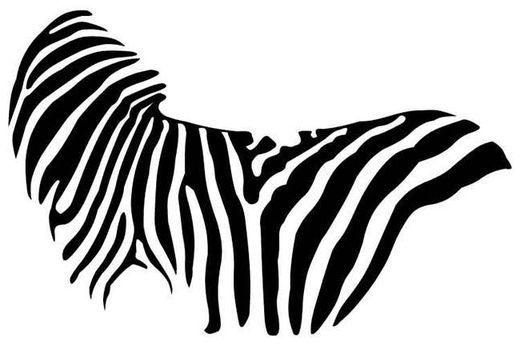 kazafakra Zebra Wall Sticker