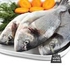 Sea bream fish - tabuk (per kg)