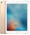 Apple iPad Pro 9.7 Inch Wi-Fi + Ce