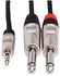 Hosa HMP-010Y REAN 3.5mm TRS to Dual 1/4" TS Pro Stereo Breakout Cable, 10 Feet