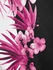 Plus Size & Curve Floral Print Colorblock Tee - M | Us 10