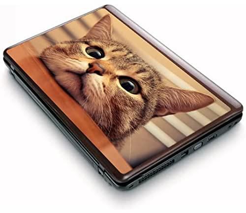 Cute Cat Laptop Decal