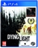 DYING LIGHT BE THE ZOMBIE EDITION (PS4)