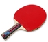 Kokobuy Practical REGAIL 8010 Table Tennis Set Includes Two Shake-hand Grip And Balls
