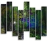 8-Piece Nature Themed Wall Art Multicolour M