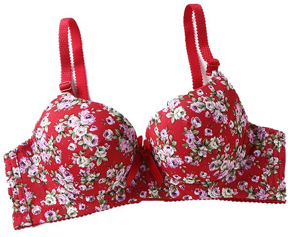 Kime  Flower with Under Wired Daily Bra [L9374] - 4 Sizes (3 Colors)