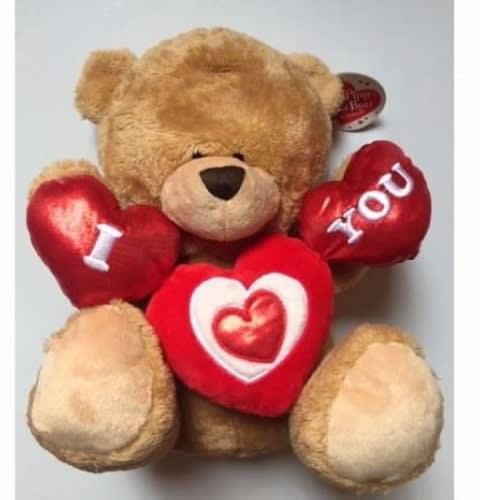 Lovers Teddy With I Love You Valentines Set + Free Gift
