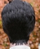 Hair Wig Short Hair Wig - Black