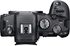Canon EOS R6, Mirrorless Camera, 24-105mm STM Lens