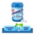 Mentos pure fresh sugar free fresh mint chewing gum 56 g
