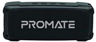 Promate Bluetooth Speaker, Premium 6W HD Rugged Wireless Speaker with 4H Playtime, Built-in Mic, FM Radio, 3.5mm Aux Port, TF Card Slot and USB Media Port for iPhone 12, iPad Pro, iPod, Android -Black