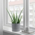 NYPON Plant pot, in/outdoor grey, 15 cm - IKEA
