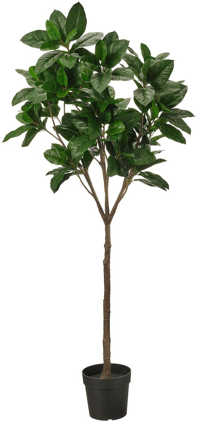 FEJKA Artificial potted plant - in/outdoor Magnolia 23 cm
