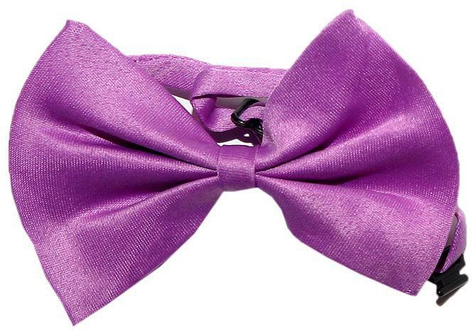 Boys Bow Tie - Purple