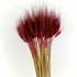 FANCY Dried Wheat Ears. Dry Flower. Artifice Flowers Sticks DW-R