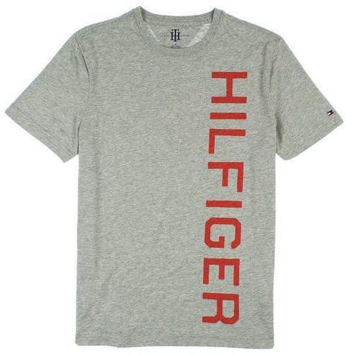 Tommy Hilfiger Grey Cotton Shirt Neck T-Shirt For Men