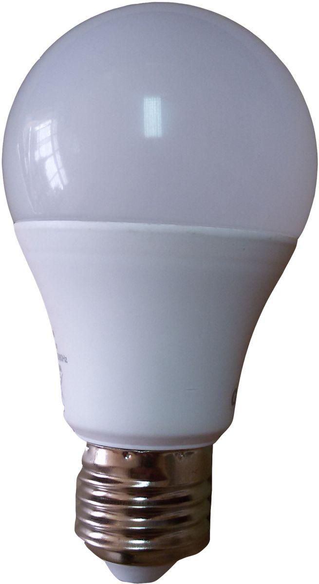LED 10 Watt Lamp (E27)
