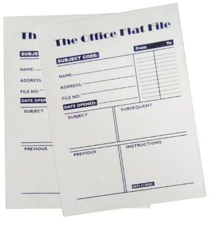 Buyor Office Flat File - 20pcs