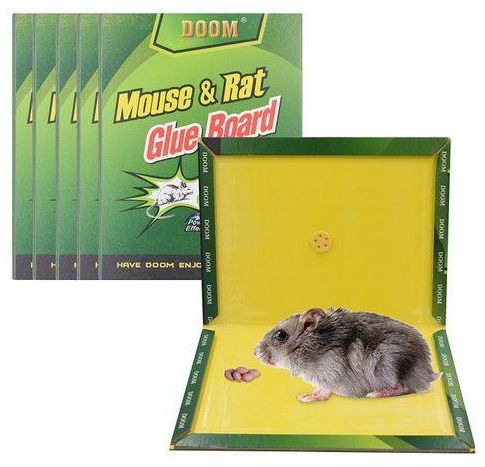 Doom Non-Toxic Mouse Rat Trap Sticky Glue Board
