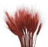 Fancy Natural Dry Wheat Grass Bouquet Dried Flowers Painted Old Rose