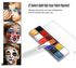Morelian 12 Colors Solid Oily Face Paint Pigment Greasepaint Kit with 6pcs Paintbrush Brushes Safe Body & Face Paint Facepaints Bodypaint for Artist Students Drawing Painting Art Supplies