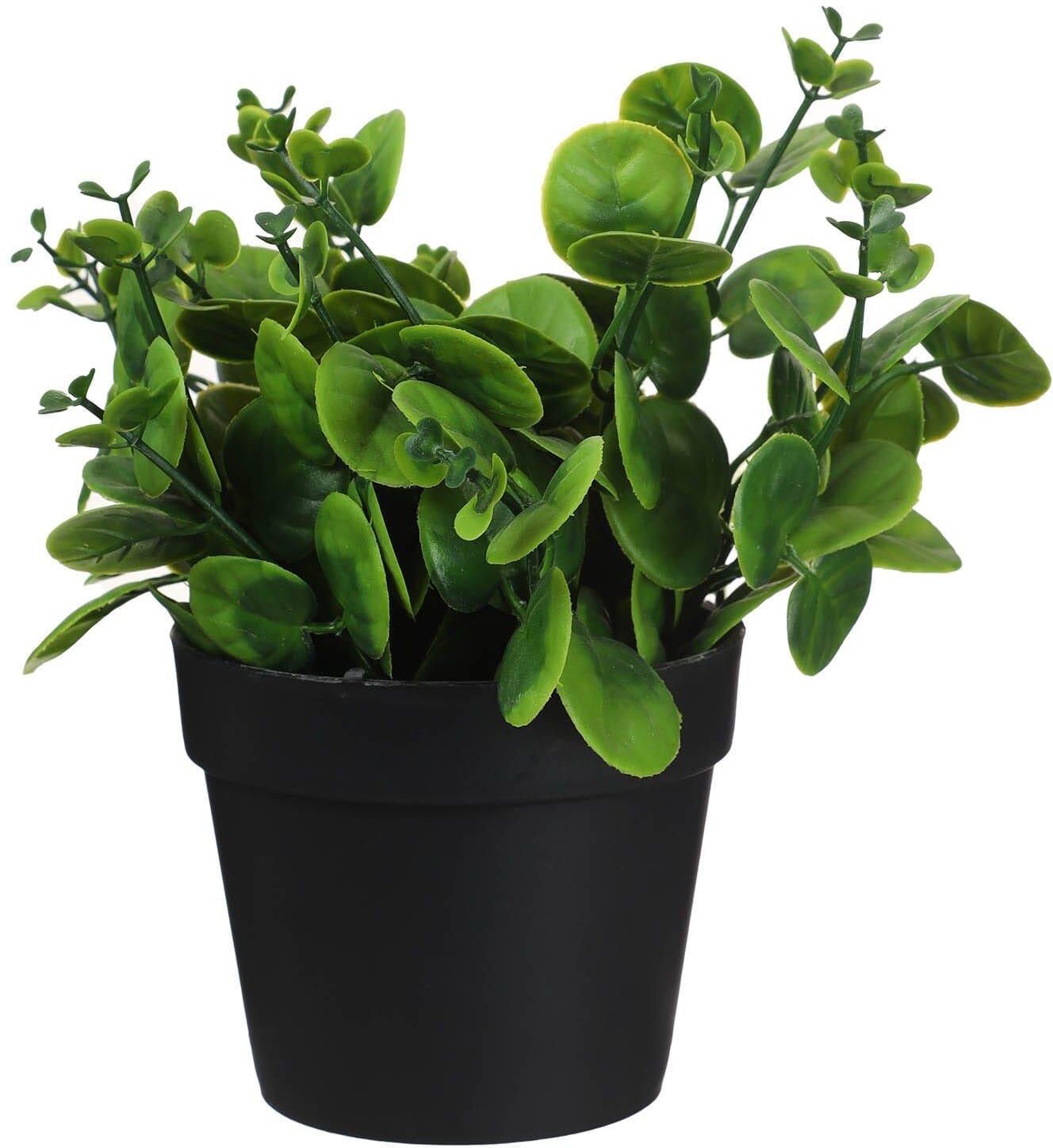 Get Round Plastic Vase, 10×8 Cm - Green Black with best offers | Raneen.com