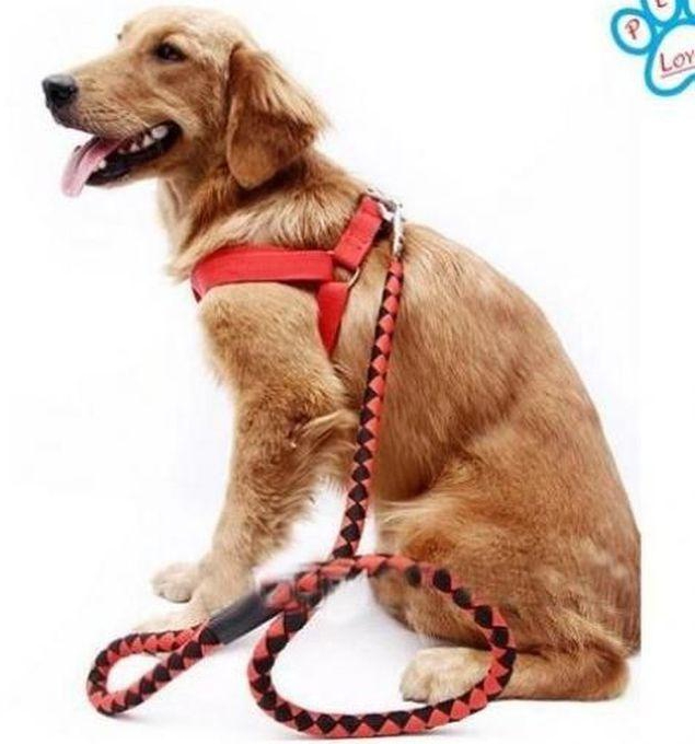 Pet Dog High Quality Nylon Dog Harness And Leash