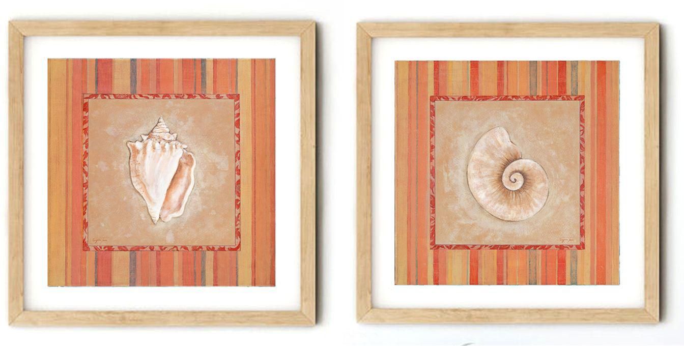 Encart Chimy Framed Sea Shell Tableau - 40 X 40 Cm Set Of 2 Frame