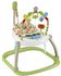 Fisher Price Rainforest Baby Bouncer