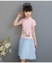 Vacc Girl Skirt 2 Piece Set - Spring Blooming - 12 Sizes (Pink/Blue)