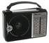Golon Model RX-606AC Classic Radio - Electrical
